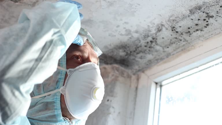 Why You Should Choose Our Mold Remediation Services in Hilltop, SC